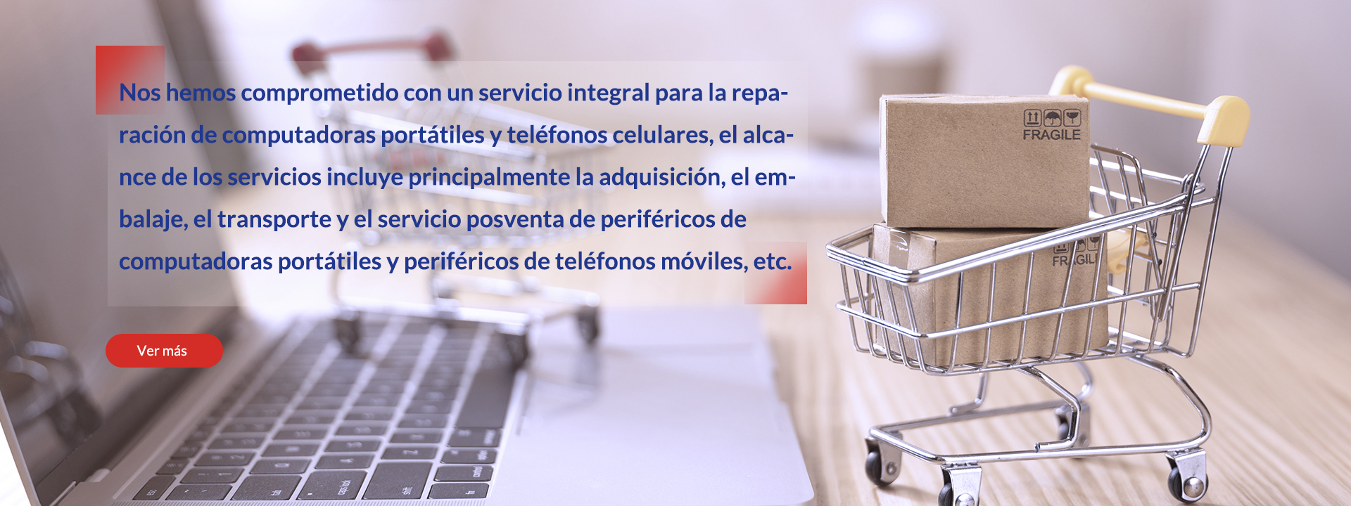 Servicio